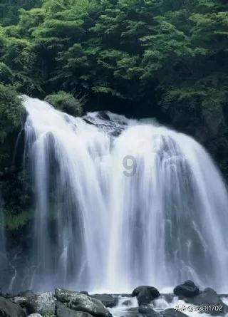 人保财险河北唐山市分公司：优质理赔服务 获社会和客户广泛赞誉
